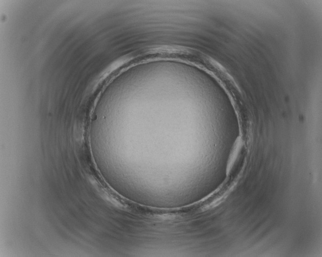 X0000084011017200703022025