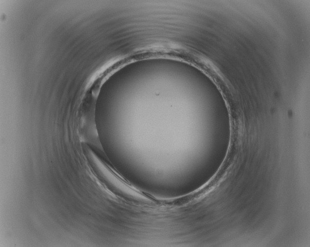 X0000084011018200703022025