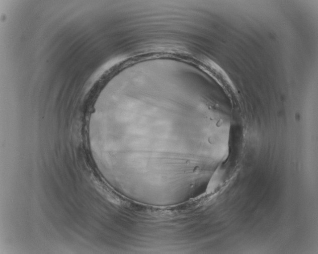 X0000084011019200703022026