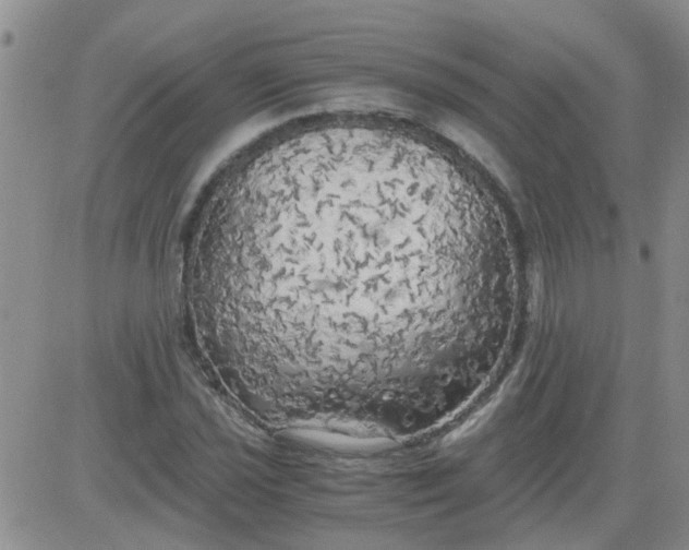 X0000084011021200703022026