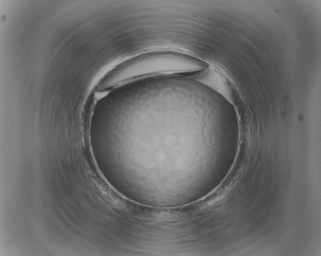 X0000084011022200703022026