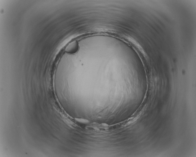 X0000084011023200703022026