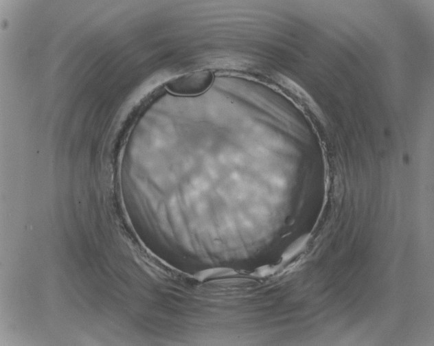 X0000084011027200703022026