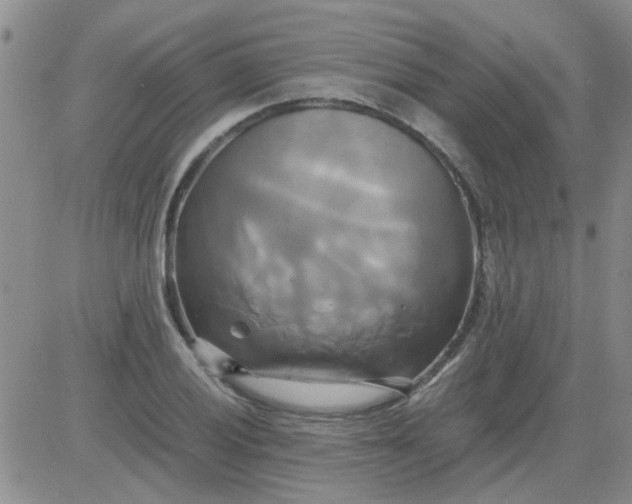 X0000084011028200703022026