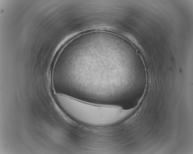 X0000084011032200703022026