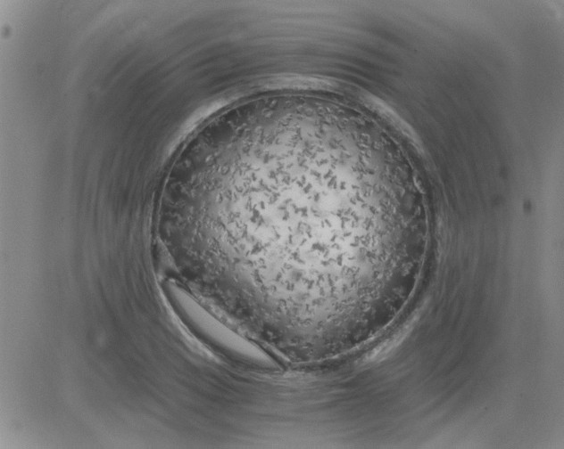 X0000084011033200703022026