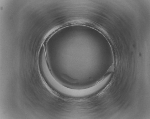 X0000084011034200703022026