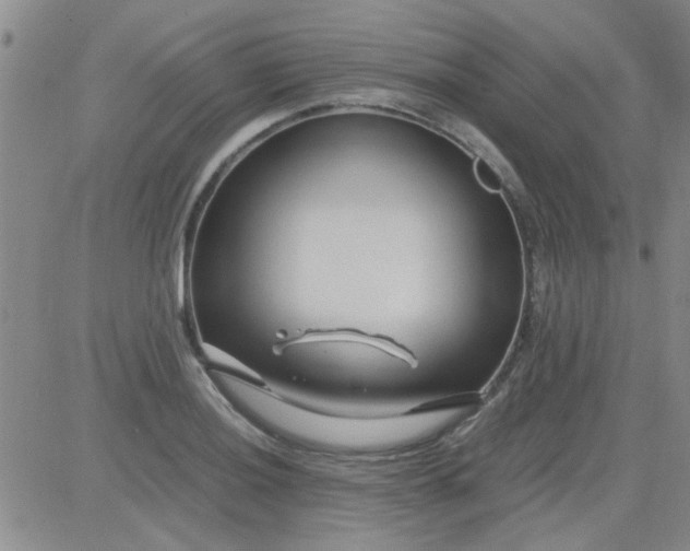 X0000084011036200703022026