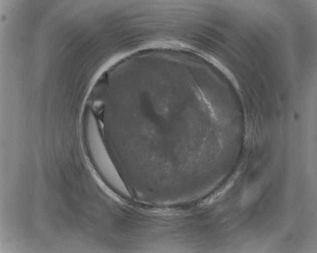 X0000084011037200703022026