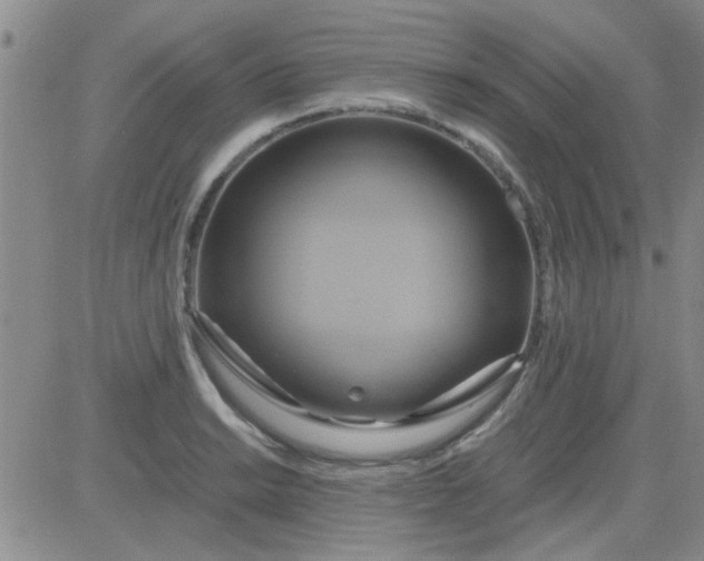 X0000084011038200703022026