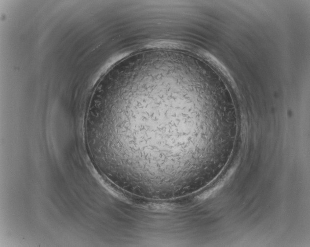 X0000084011041200703022026