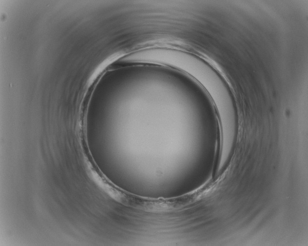 X0000084011042200703022026