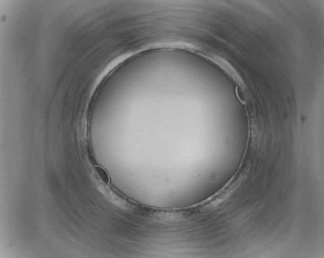 X0000084011044200703022026