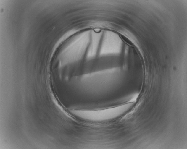 X0000084011045200703022026