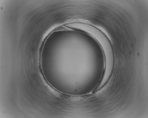 X0000084011046200703022026