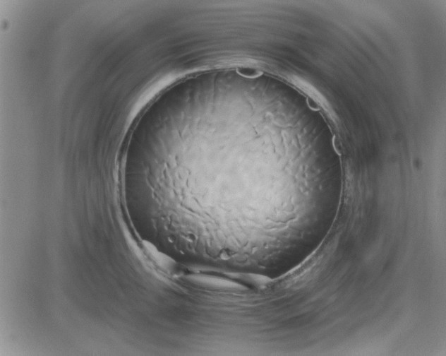 X0000084011047200703022026