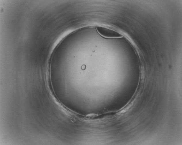 X0000084011048200703022026