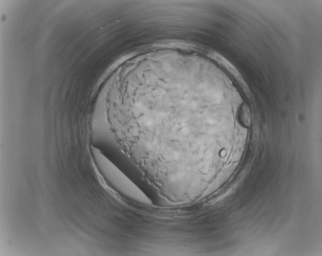 X0000084011049200703022026