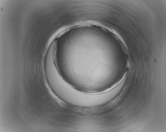 X0000084011054200703022026