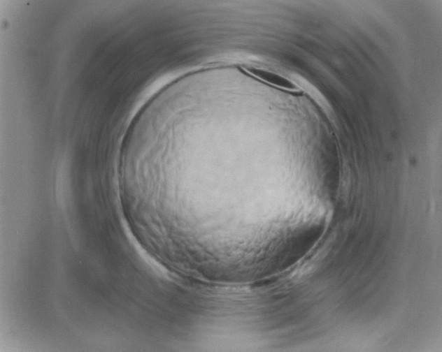 X0000084011055200703022026