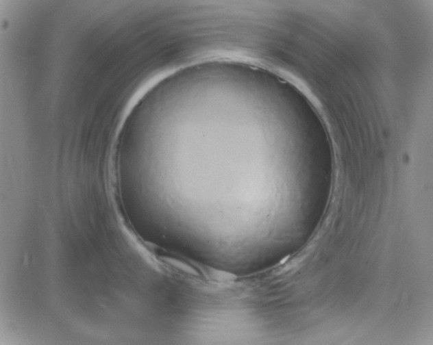 X0000084011056200703022026