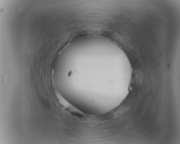 X0000084011057200703022025