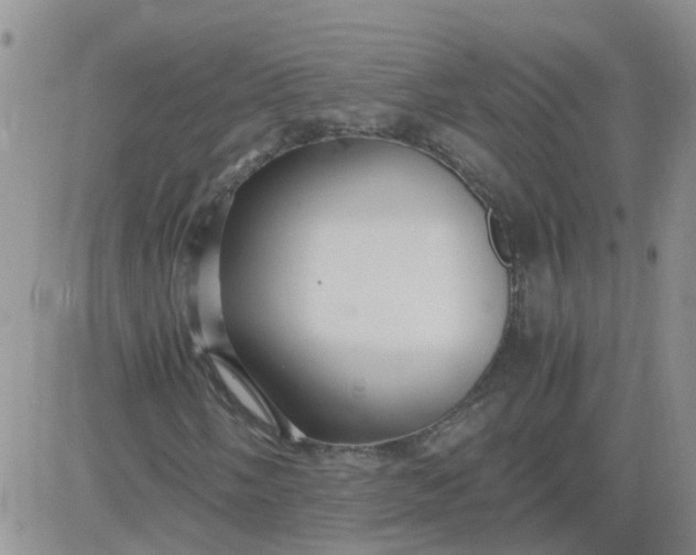 X0000084011058200703022025