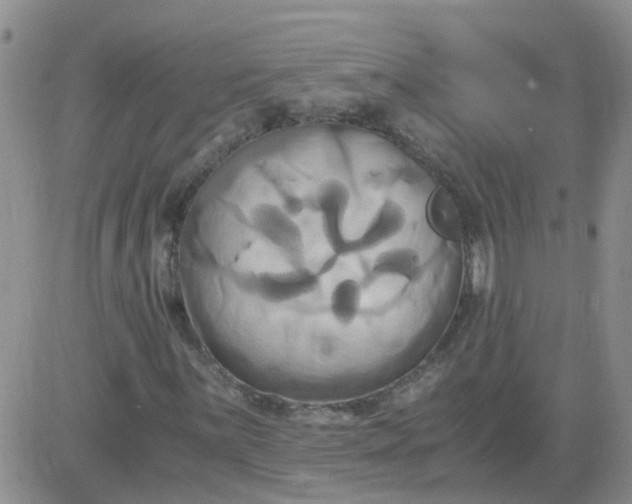 X0000084011059200703022025