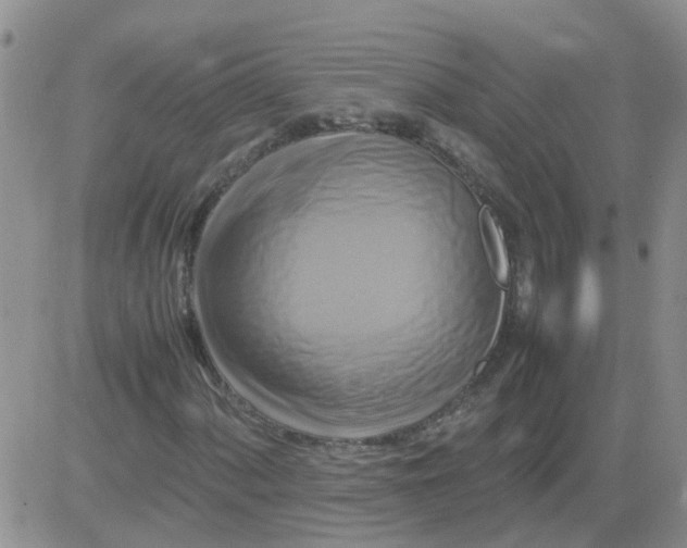 X0000084011060200703022025