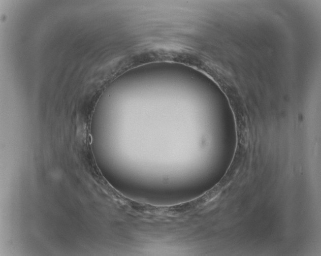 X0000084011061200703022025