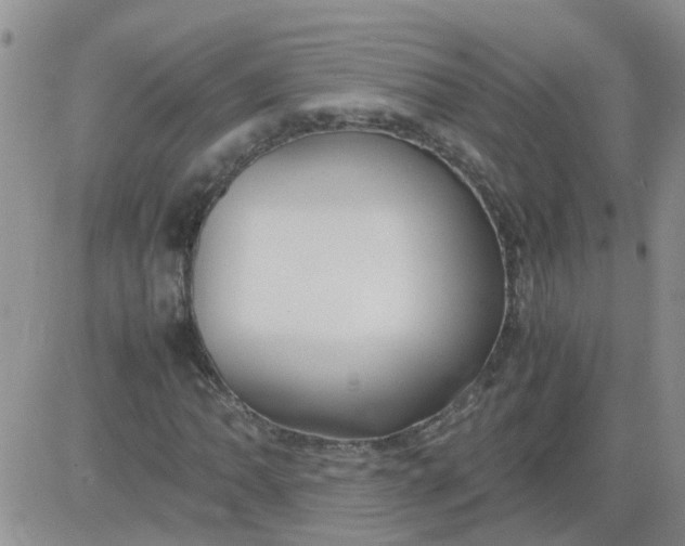 X0000084011062200703022025