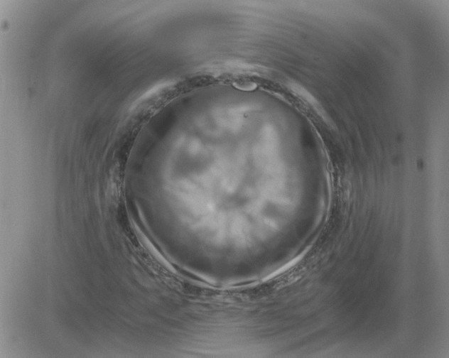 X0000084011063200703022025