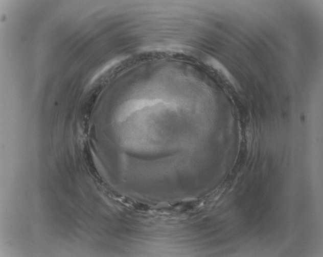 X0000084011064200703022025