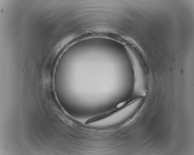 X0000084011065200703022025