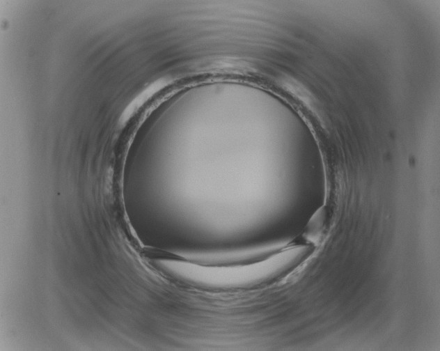 X0000084011066200703022025