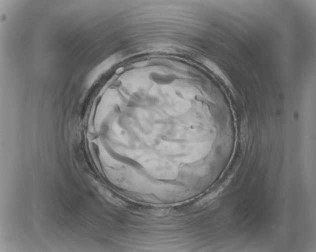 X0000084011067200703022025