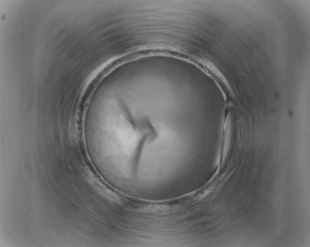 X0000084011068200703022025