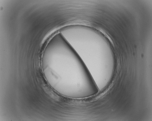 X0000084011069200703022025