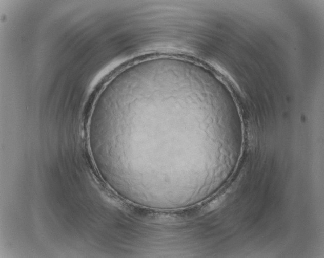 X0000084011070200703022025