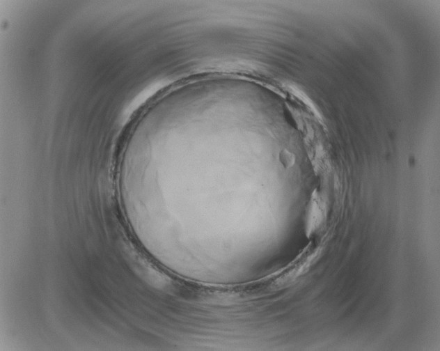 X0000084011071200703022025