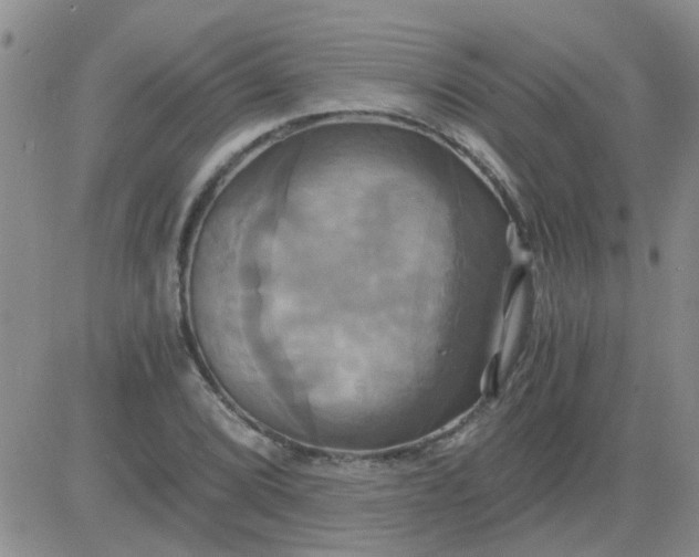 X0000084011072200703022025