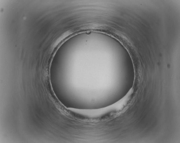 X0000084011073200703022025