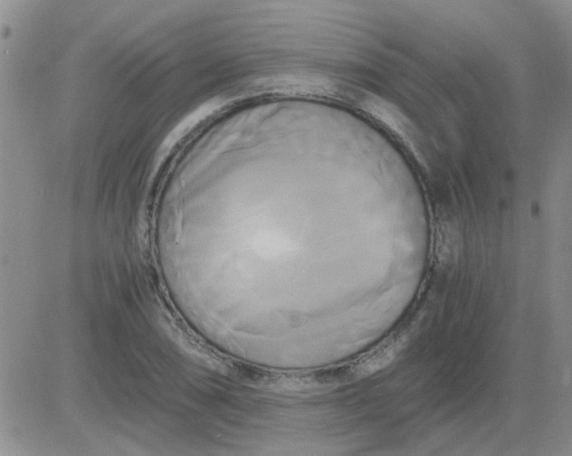 X0000084011074200703022025