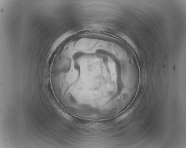 X0000084011075200703022025