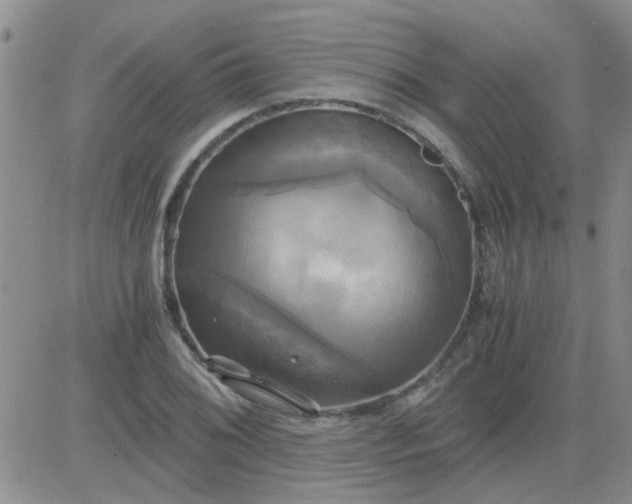 X0000084011076200703022025