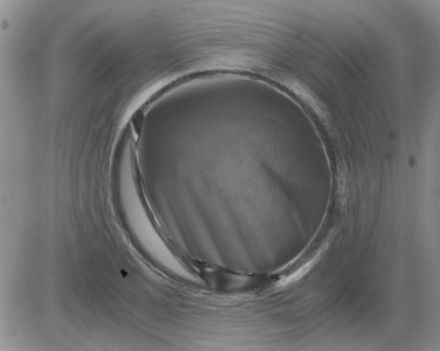 X0000084011077200703022025