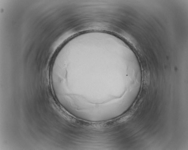 X0000084011078200703022025