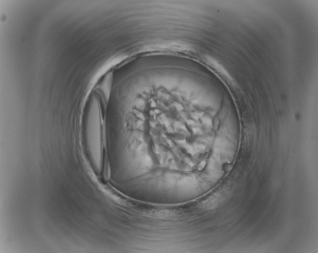 X0000084011079200703022025