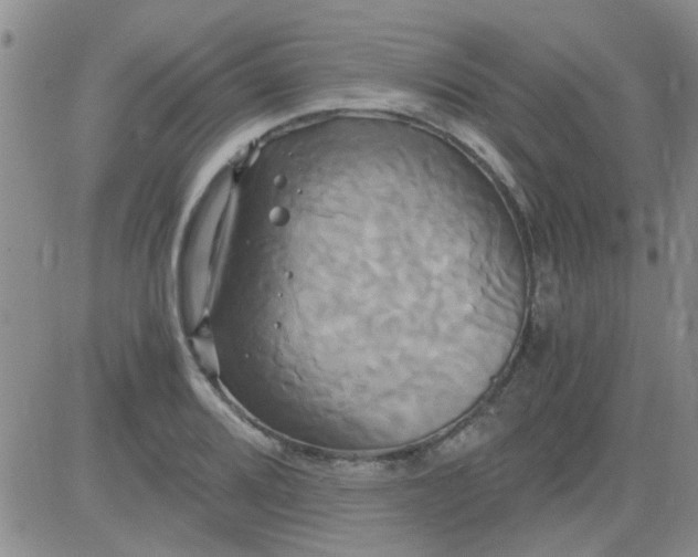 X0000084011080200703022025