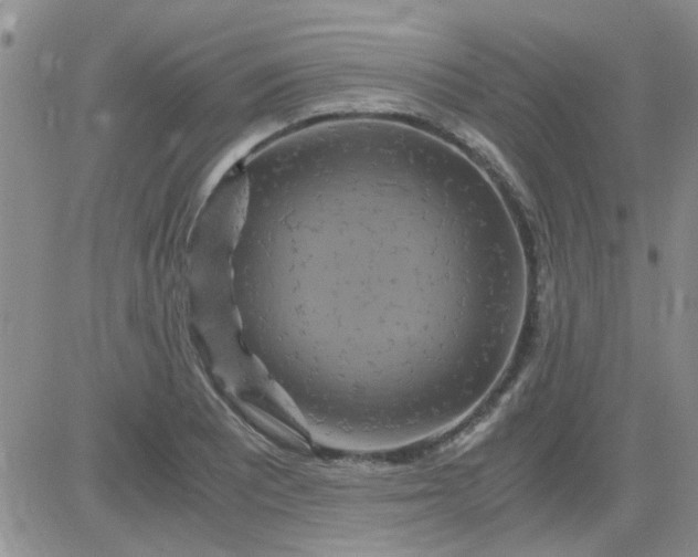 X0000084011081200703022025